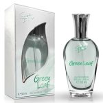 Duftzwillinge: Luxusduft zum kleinen Preis entdecken